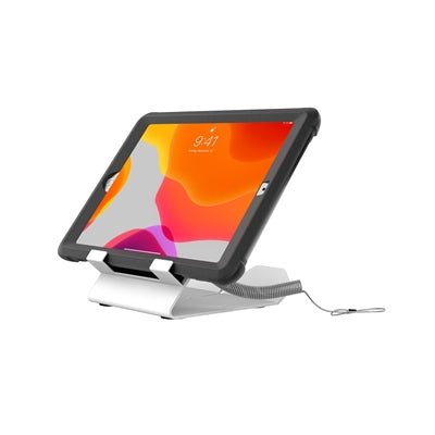 Security Locking Desk Mount