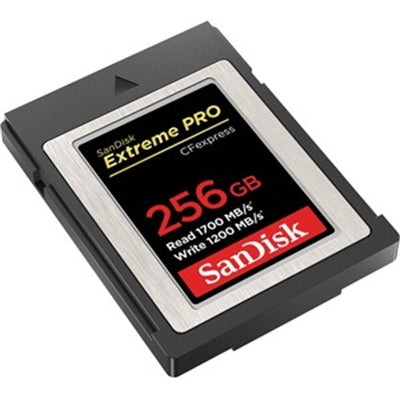 Ext Pro CFexpress Card 256GB