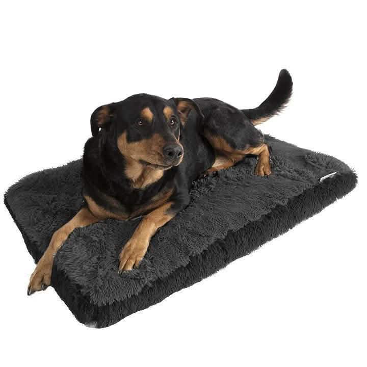 Fuzzy Pet Bed