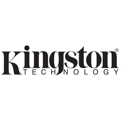 Kingston Data Traverler